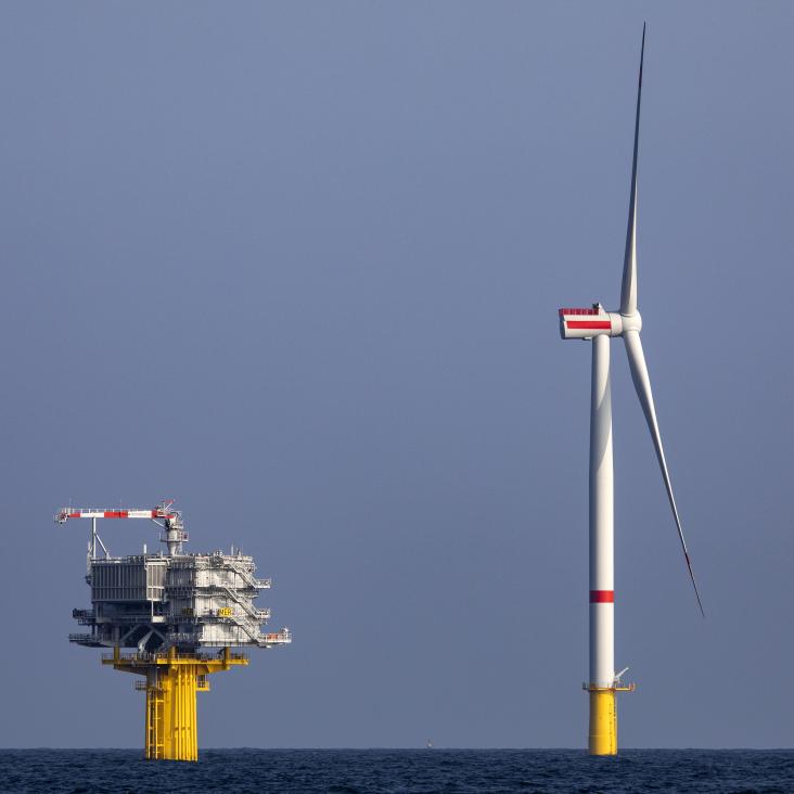 Leg het mij uit | The job Marine Coördinator @ Otary - find out more here!