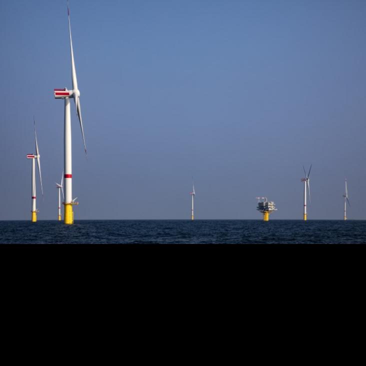 Otary & The Belgian Navy 